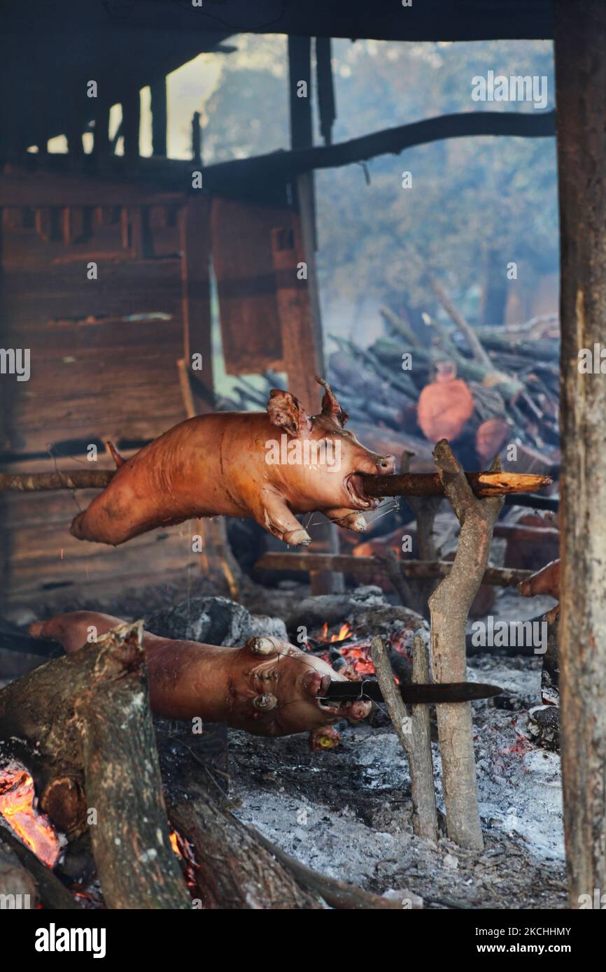 Pigs being roasted outside the city of Santiago, Dominican Republic, on December 23, 2011. These pigs will be sold to families for traditional Christmas dinners. Roasted pig is traditionally eaten by most families in the Dominican Republic for dinner during Christmas Eve, especially in the rural areas. (Photo by Creative Touch Imaging Ltd./NurPhoto) Stock Photo