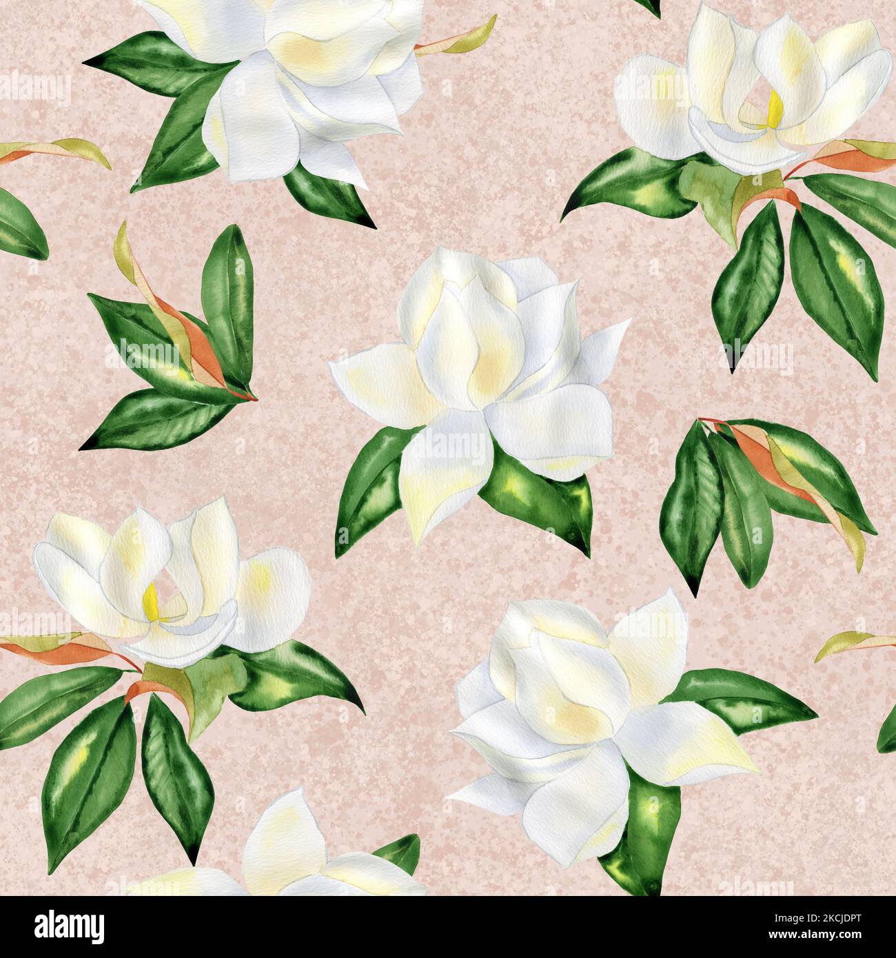 Magnolia Backdrop White magnolia flowers watercolor seamless pattern. Flowering tree ...