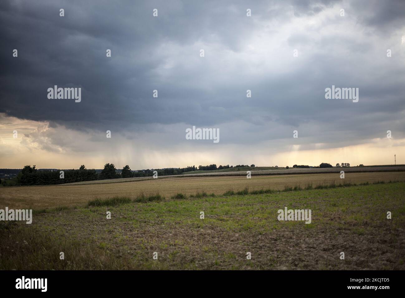 A field seen near Krynki on August 14, 2021. (Photo by Maciej Luczniewski/NurPhoto) Stock Photo