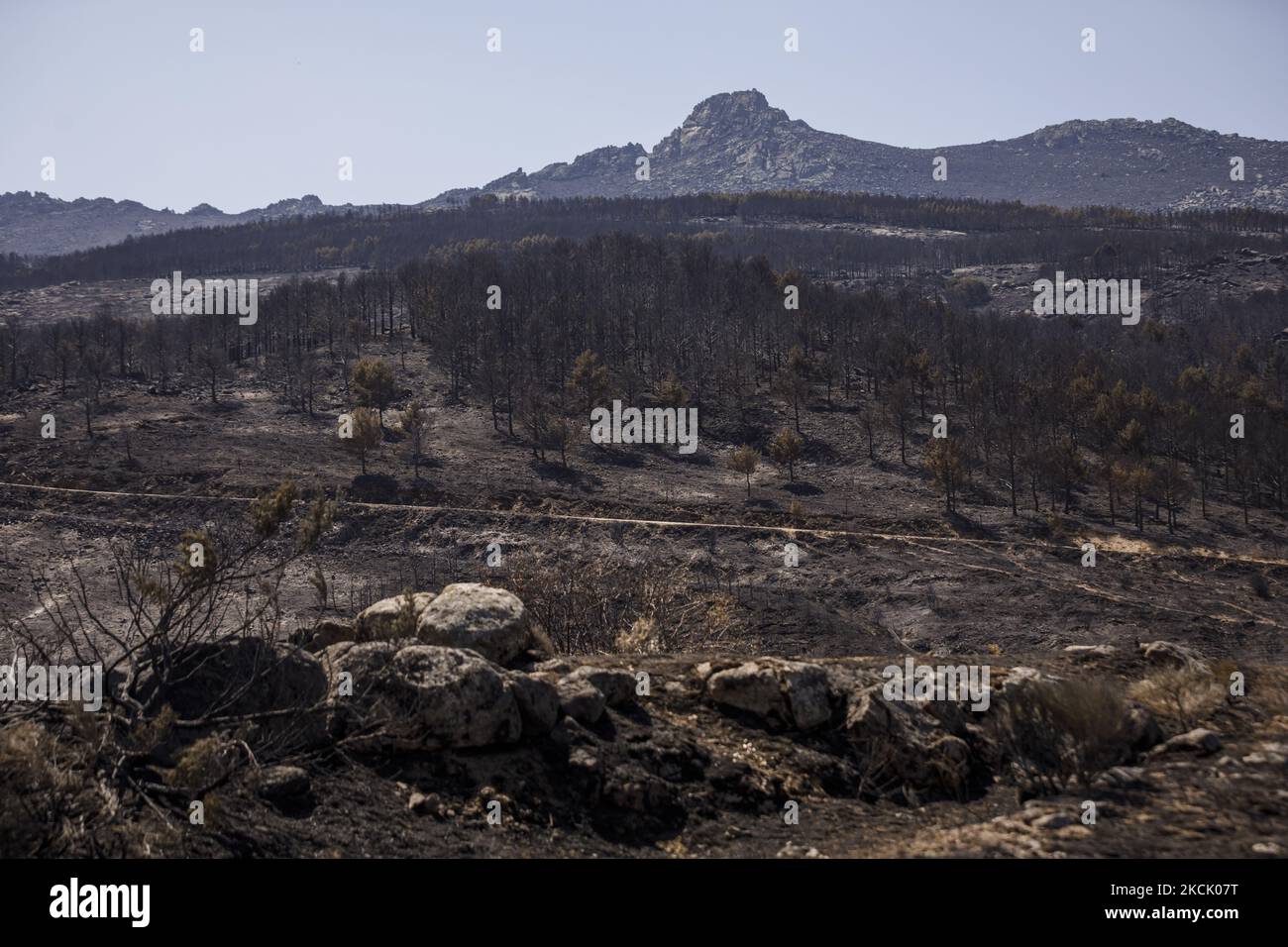 The fire in the province of Ávila started in the town of Navalacruz and has burned around 22,000 hectares with a perimeter of 130 kilometers, affecting various towns such as Riorio, Sotalbo, Villaviciosa and Mironcillo among them. It is considered the fourth most important in terms of extension that has occurred in Spain. Images from the surroundings of Sotalbo where the flames came very close to the population. (Photo by DAX Images/NurPhoto) Stock Photo