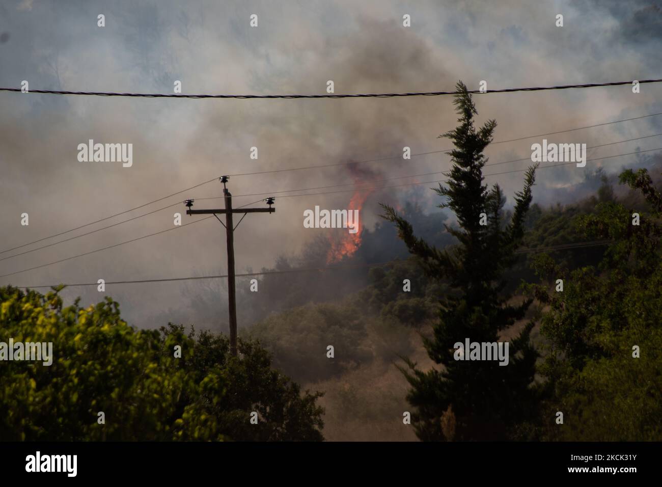 Huge flames at the Vilia wildfire, near Athens, Greece. On August 23rd, in 2021 in Vilia, Attica (Athens), Greece. (Photo by Maria Chourdari/NurPhoto) Stock Photo