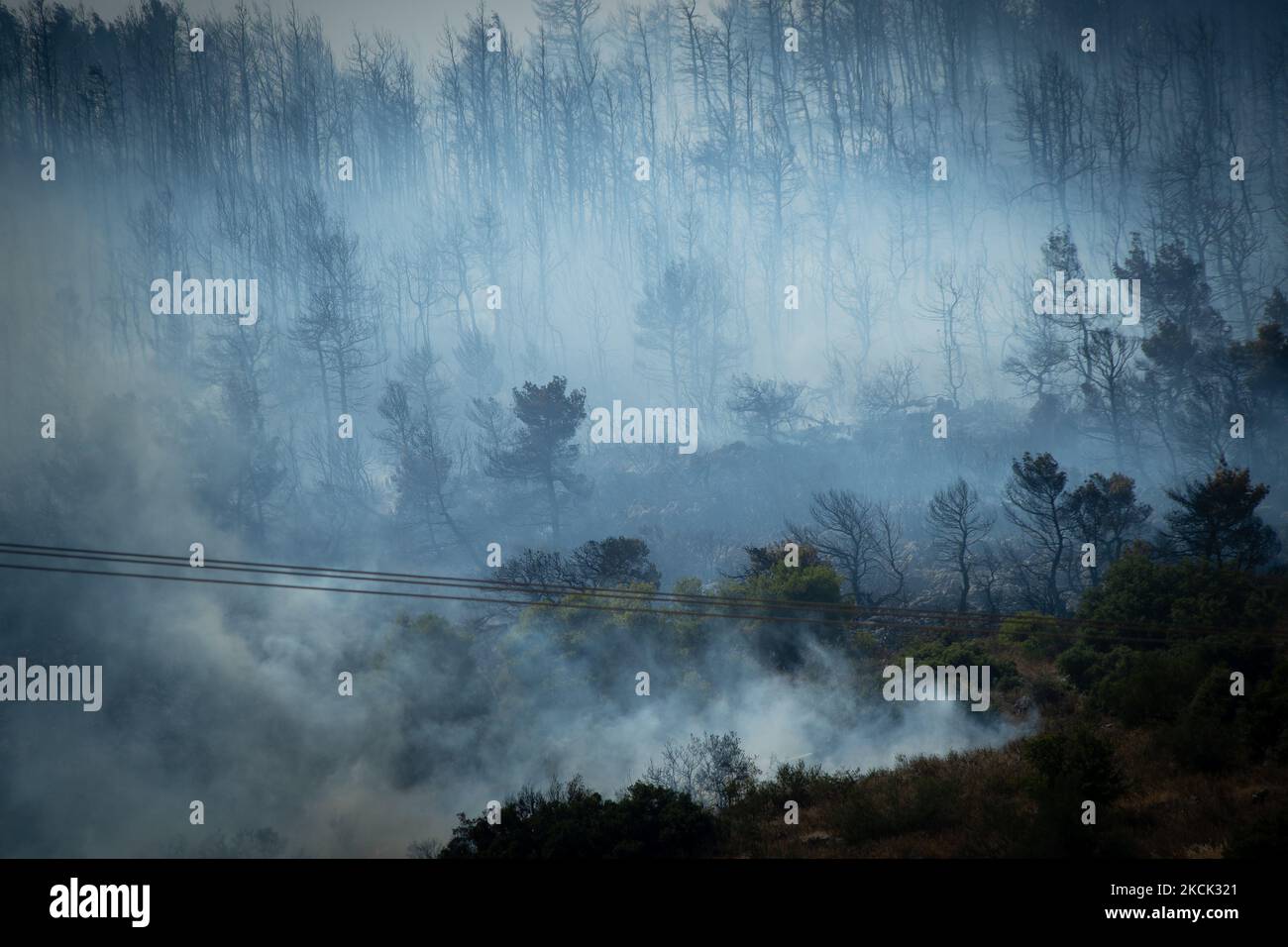 A burnt landscape, at the Vilia wildfire near Athens. On August 23rd, in 2021 in Vilia, Attica (Athens), Greece. (Photo by Maria Chourdari/NurPhoto) Stock Photo