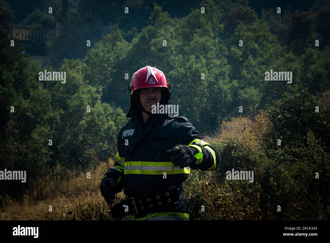 Romanian firefighters trying to tame the flames at the Vilia wildfire. On August 23rd, in 2021 in Vilia, Attica (Athens), Greece. (Photo by Maria Chourdari/NurPhoto) Stock Photo