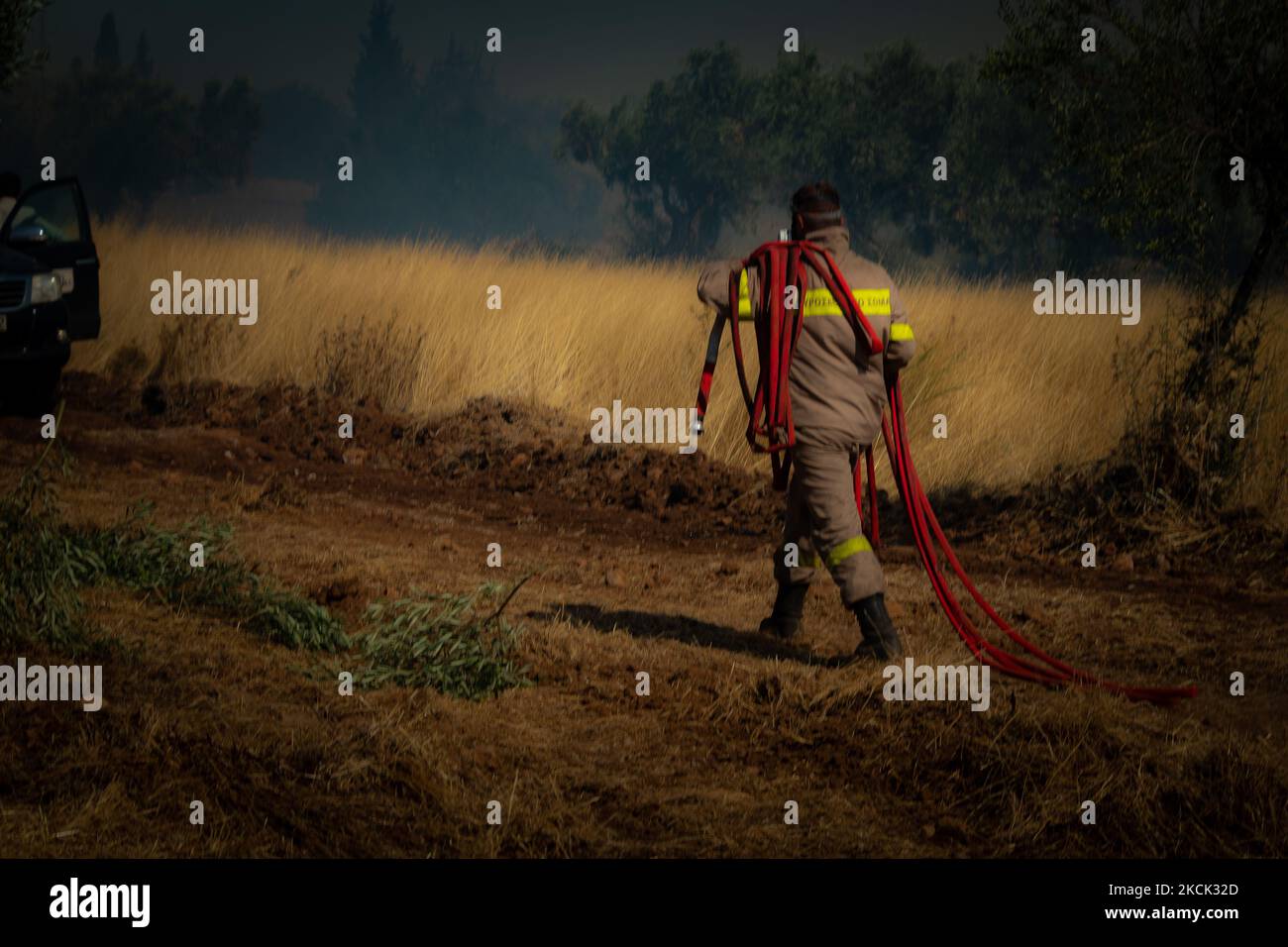 A firefighter at the Vilia wildfire, near Athens. On August 23rd, in 2021 in Vilia, Attica (Athens), Greece. (Photo by Maria Chourdari/NurPhoto) Stock Photo