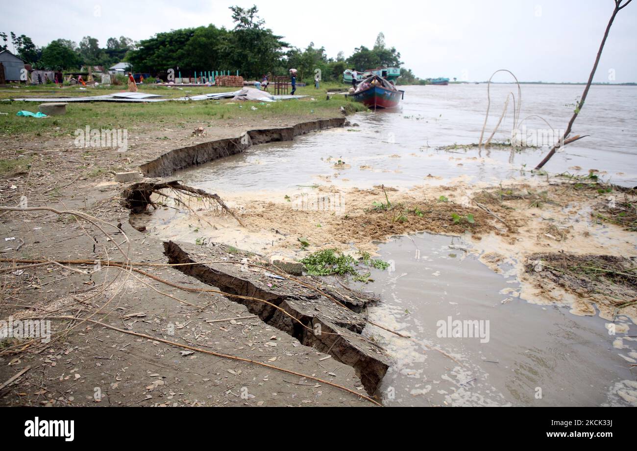 A photograph shows erosion of a bank of the River Padma in Sharishaban ...