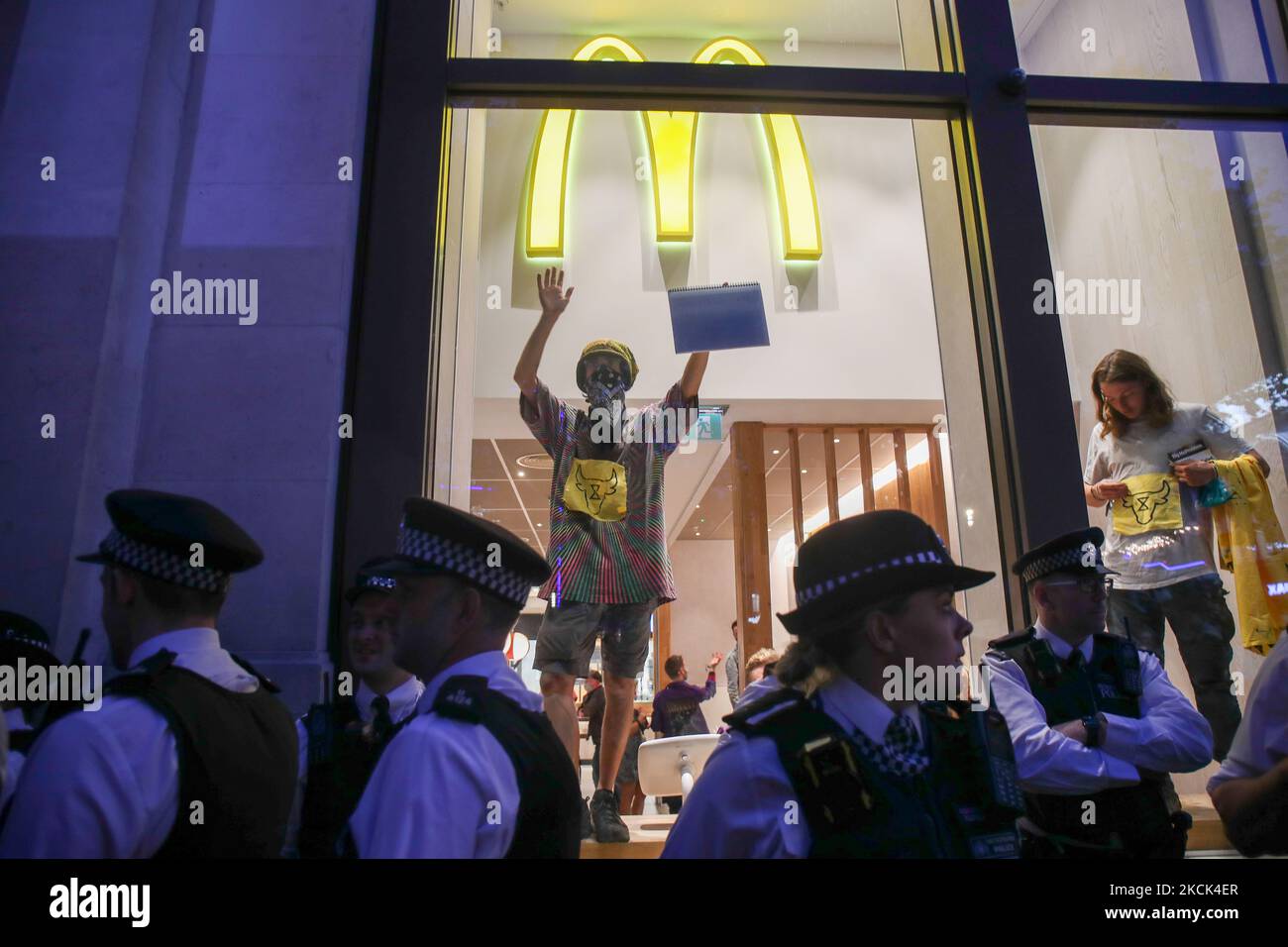 August 2021 mcdonalds animal hi-res stock photography and images - Alamy - Campaign Takeover Mcdonald'S News Channel