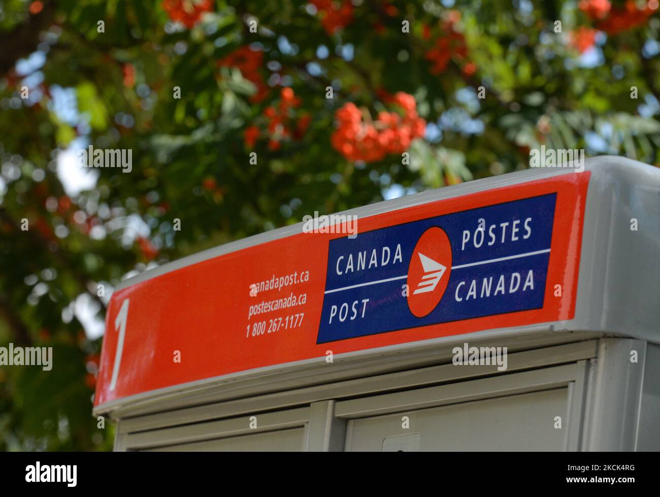 Canada Post mailbox. On Tuesday, 23 August 2021, in Edmonton, Alberta