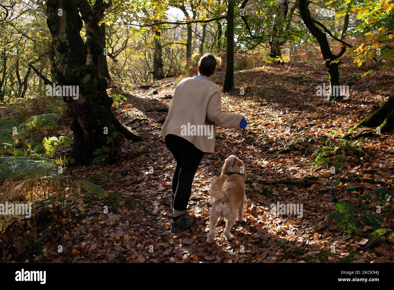 Woman with dog. Autumn walk through Hardcastle Craggs, Yorkshire UK. Stock Photo