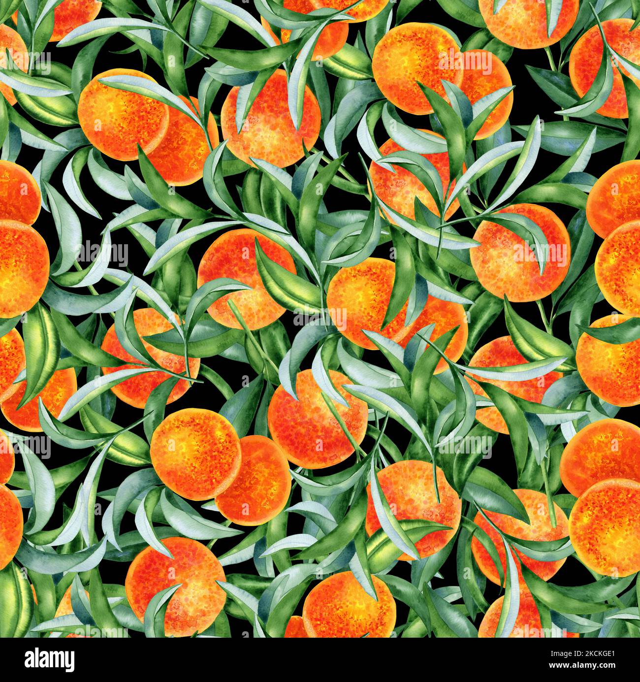 Oranges watercolor seamless pattern. Hand drawn illustration of citrus ...