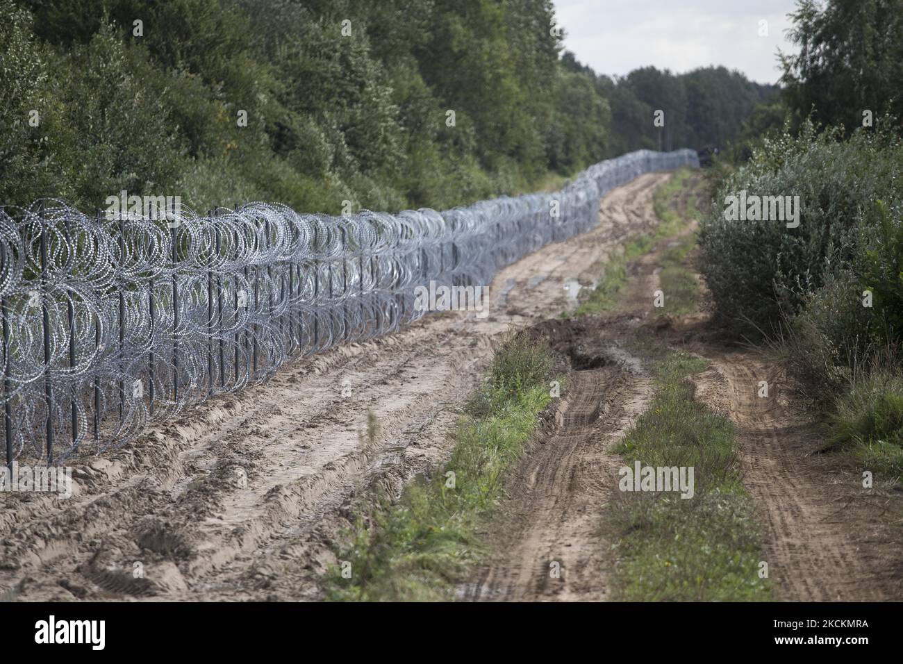 Border near Krynki on September 1, 2021. (Photo by Maciej Luczniewski/NurPhoto) Stock Photo