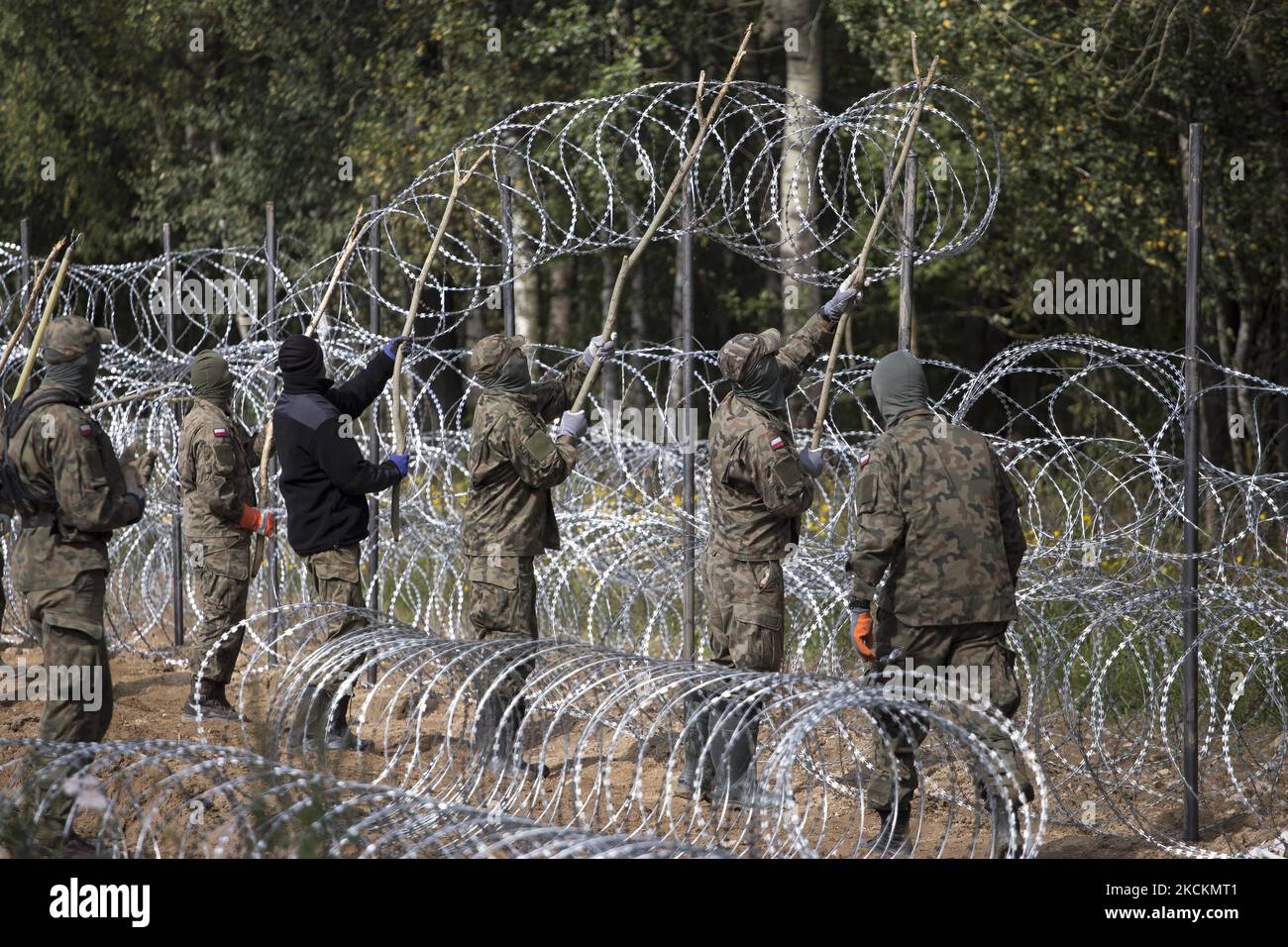 Polish soliders set up barbed wire fence in Border Zone near Krynki on September 1, 2021. (Photo by Maciej Luczniewski/NurPhoto) Stock Photo