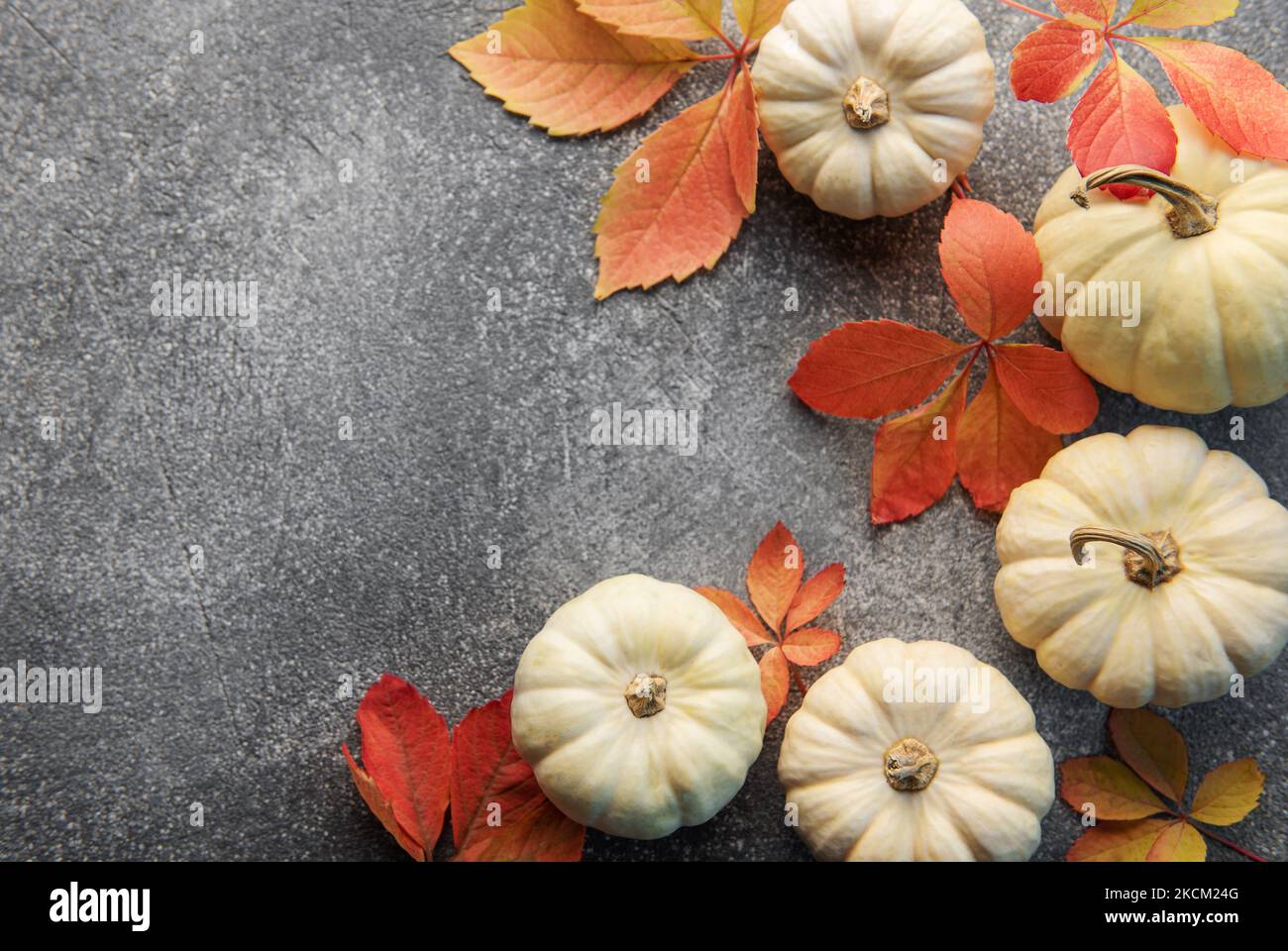 Thanksgiving craft ideas pre k