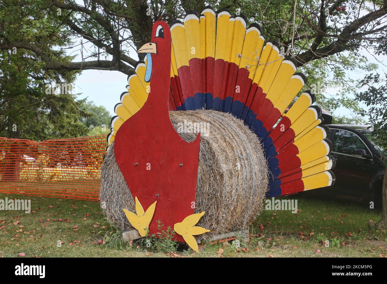 Hay bale in the shape of a turkey at a farm in King City, Ontario, Canada, on September 04, 2021. (Photo by Creative Touch Imaging Ltd./NurPhoto) Stock Photo