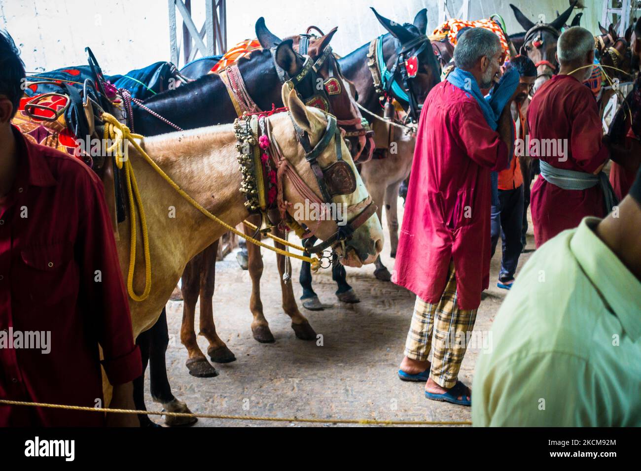 July 5th 2022 Katra, Jammu and Kashmir, India. Ponies and Palki Porter service at Shri Mata Vaishno Devi , a hindu Pilgrimage. Stock Photo