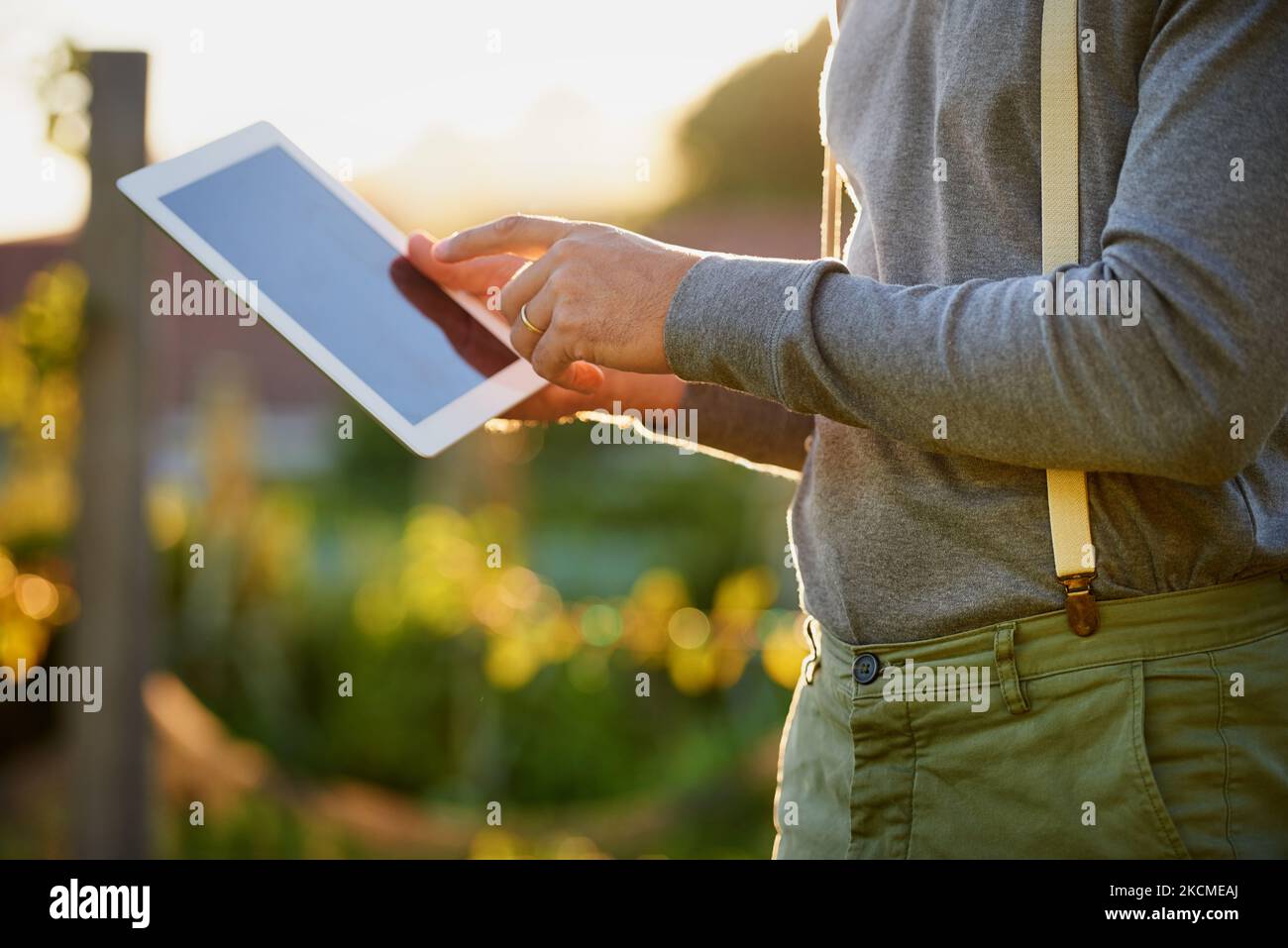 Advanced technology for the advanced gardener. a man using a digital tablet while working in the garden. Stock Photo