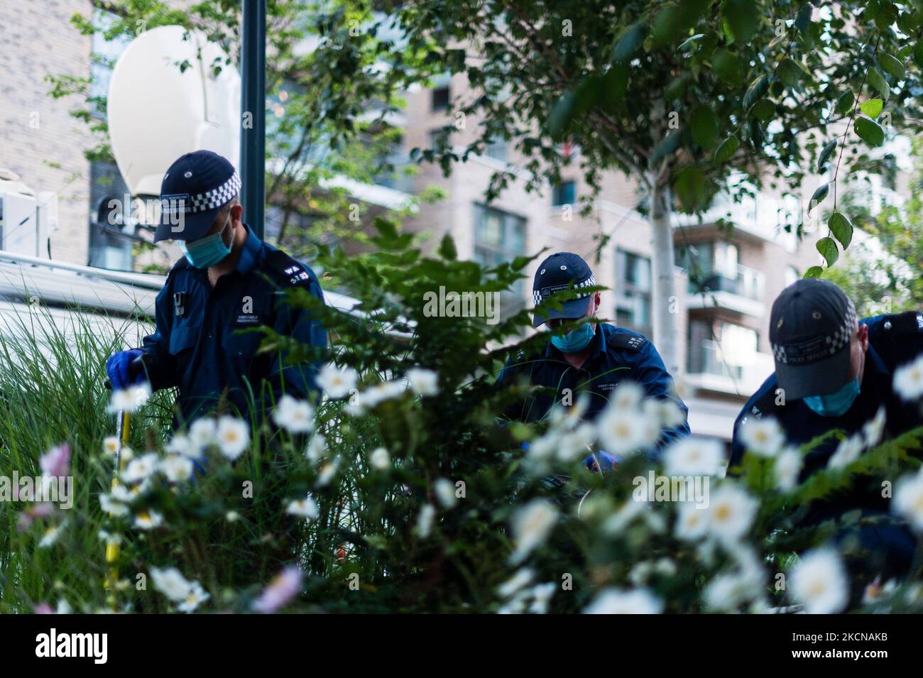 Kidbrooke murder hires stock photography and images Alamy