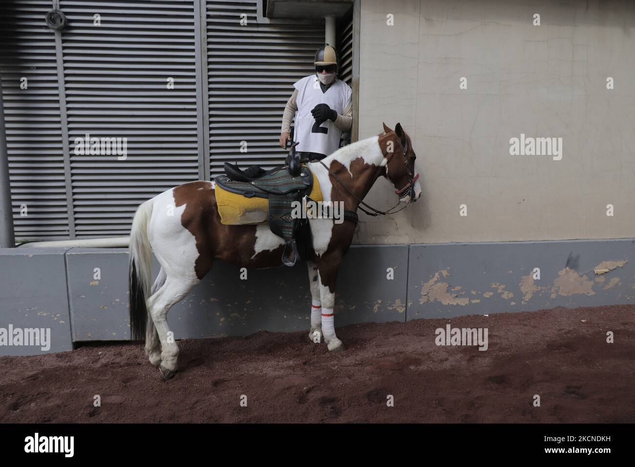 A jockey and his horse at the Hipódromo de las Americas in Mexico City, prior to a race on the occasion of the LXXVI Handicap of the Americas 2021 during the COVID-19 health emergency and the yellow epidemiological traffic light in the capital. (Photo by Gerardo Vieyra/NurPhoto) Stock Photo