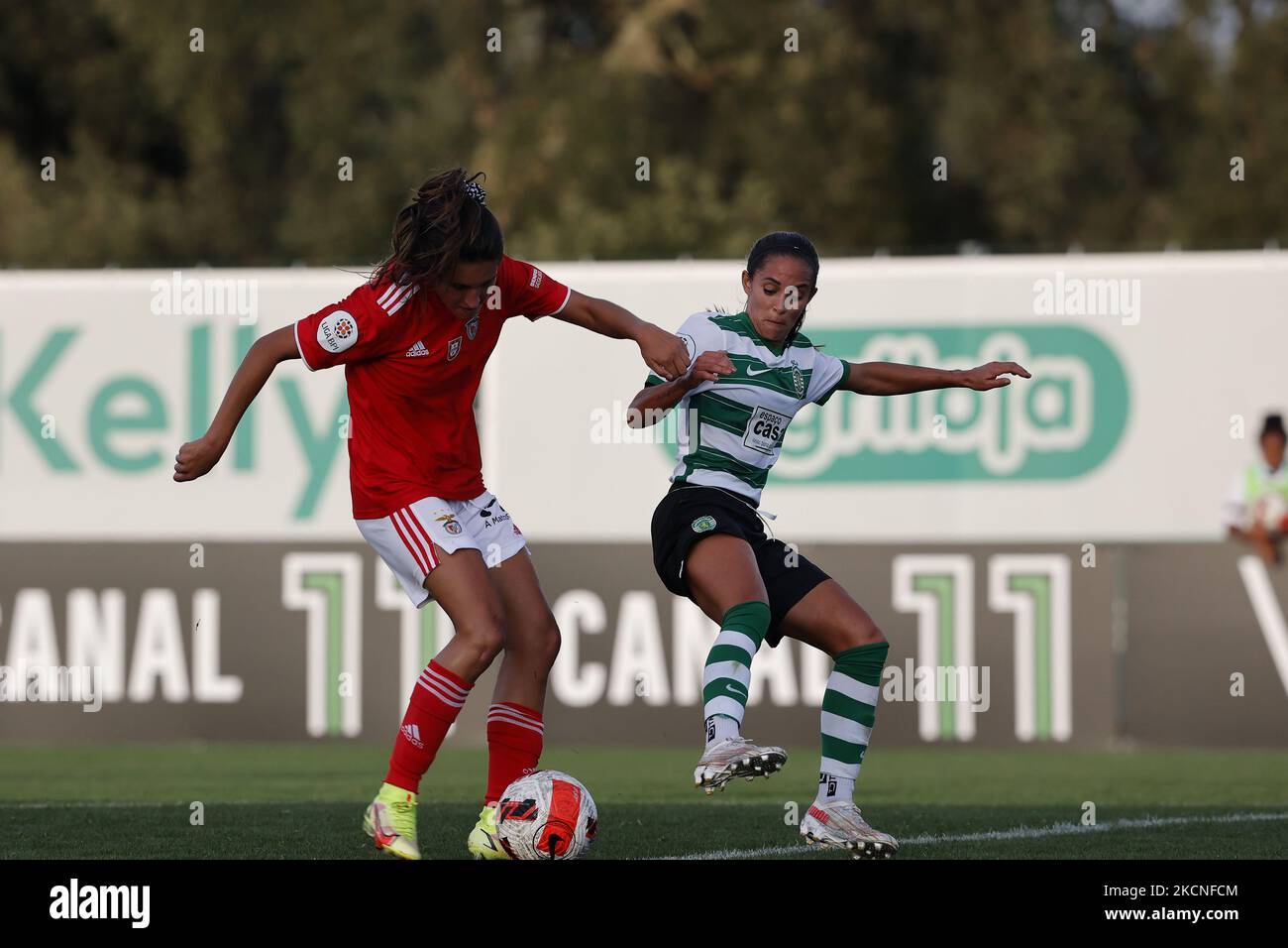 Futebol Feminino  Resumo: Sporting CP x SL Benfica 