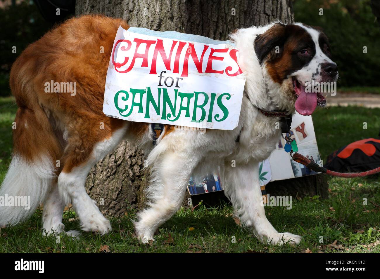 Budget rider hi-res stock photography and images - Alamy