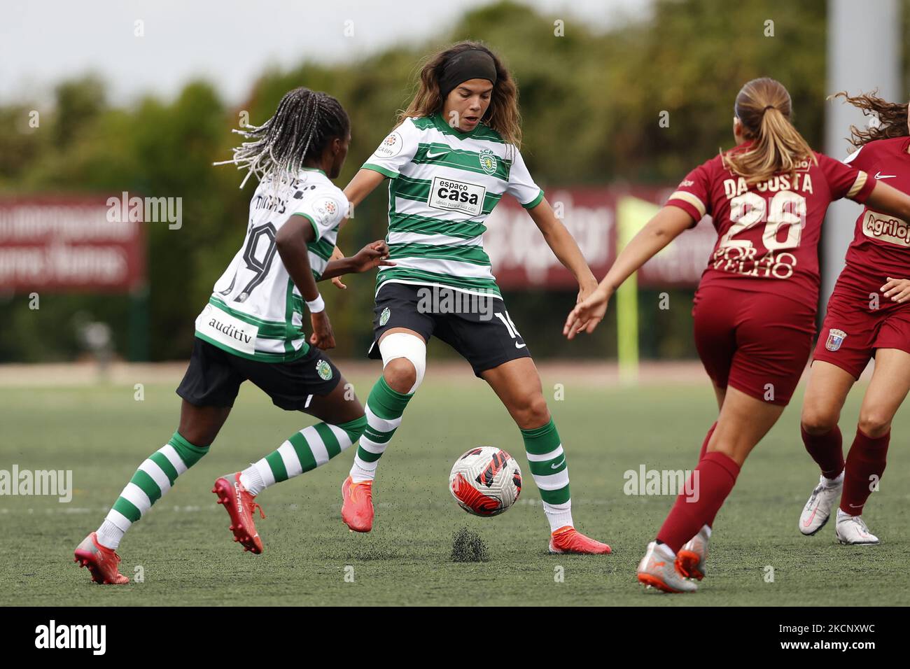 Sporting CP Torreense match action Sporting’s Fall from Grace