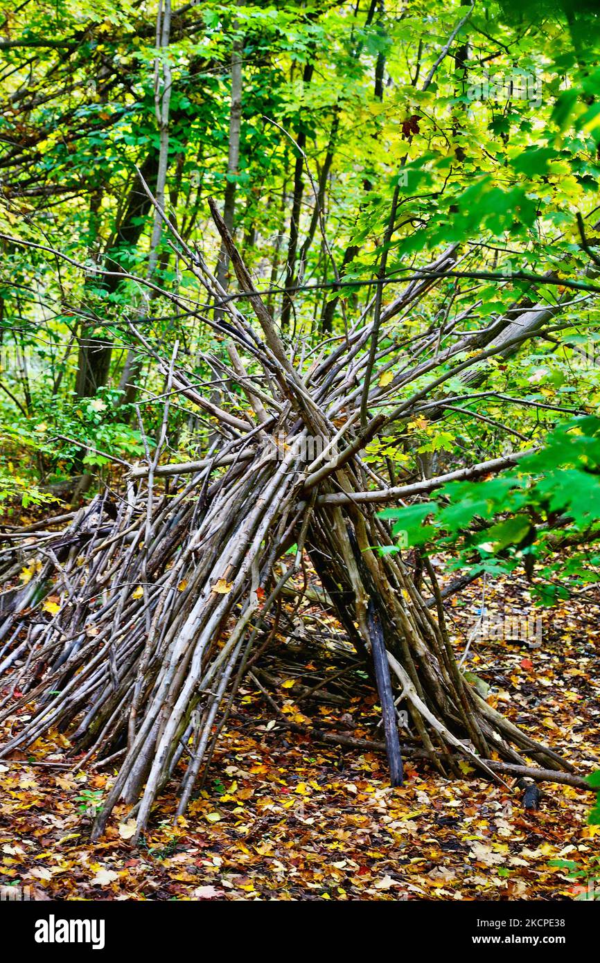 Makeshift Lean To Shelter in the forest during the Autumn season in Makeshift Lean To Shelter in the forest during the Autumn season in