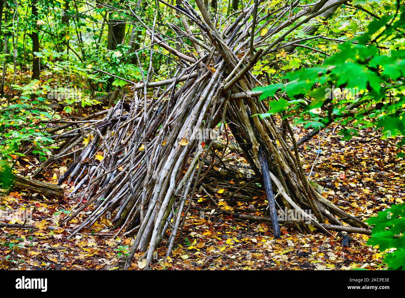 Makeshift LeanTo Shelter in the forest during the Autumn season in