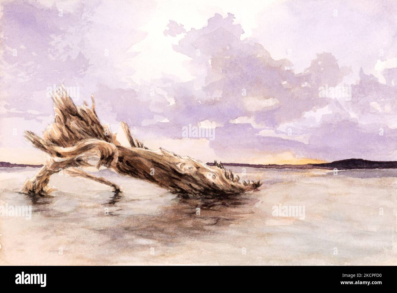 Dead tree trunk on a beach. Watercolor on paper. Stock Photo