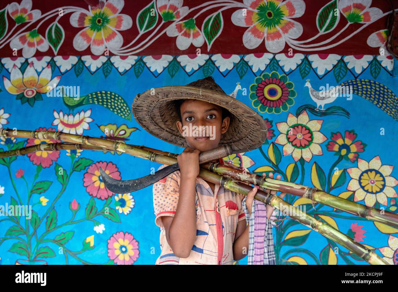 A child poses in front of a colorfully painted wall with sugarcane in alpona village in chapainawabganj, Bangladesh. (Photo by Mushfiqul Alam/NurPhoto) Stock Photo