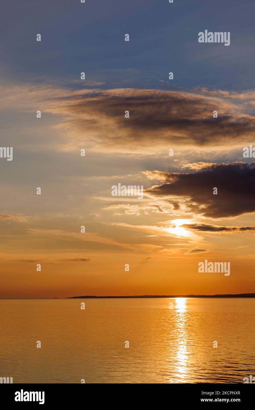 Orangey hi-res stock photography and images - Alamy