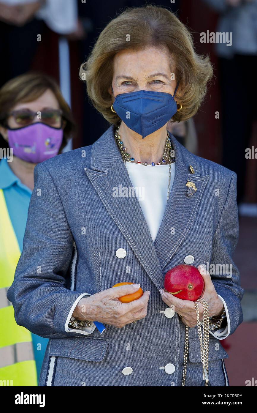 Queen Sofia with a pomegranate and a persimmon in her hands during her visit the Food Bank of Granada on October 20, 2021 in Granada, Spain. (Photo by Álex Cámara/NurPhoto) Stock Photo