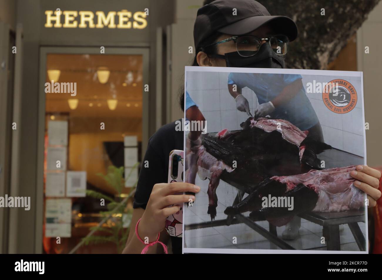 Protest against crocodile skins outside Hermes in Bond St - Buy, Sell or  Upload Video Content with Newsflare