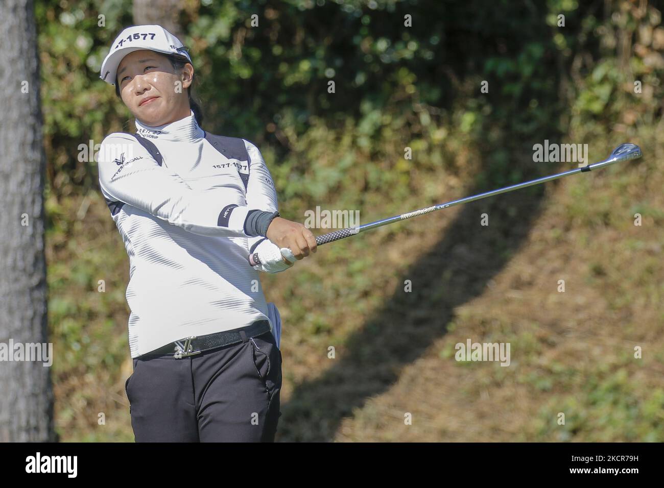 Jin hee im hi-res stock photography and images - Alamy