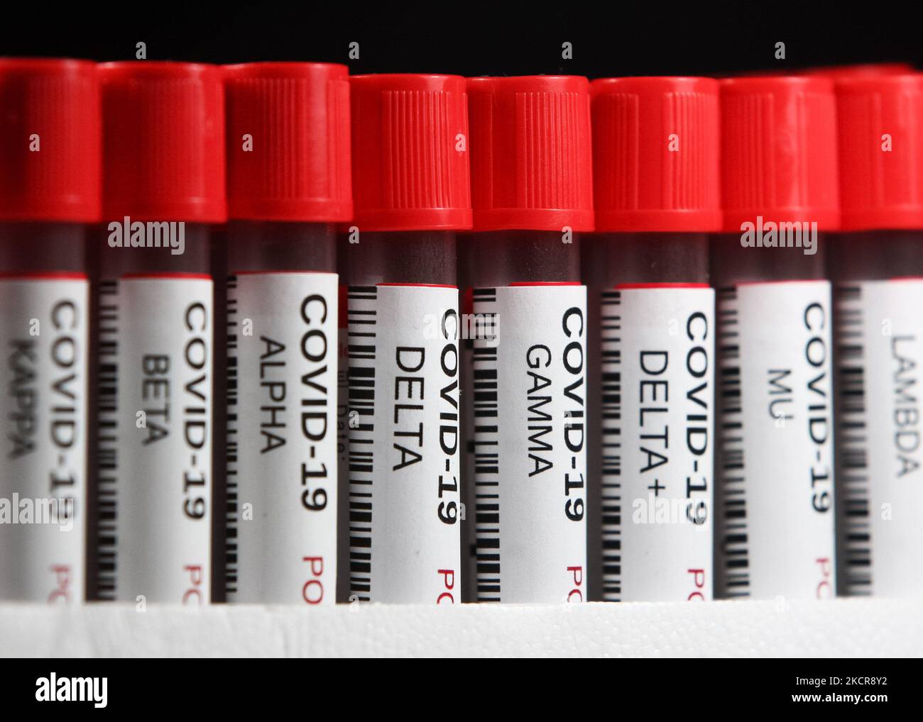 Test sample tubes labelled 'COVID19 Delta,Delta + (plus),Alpha,Gamma