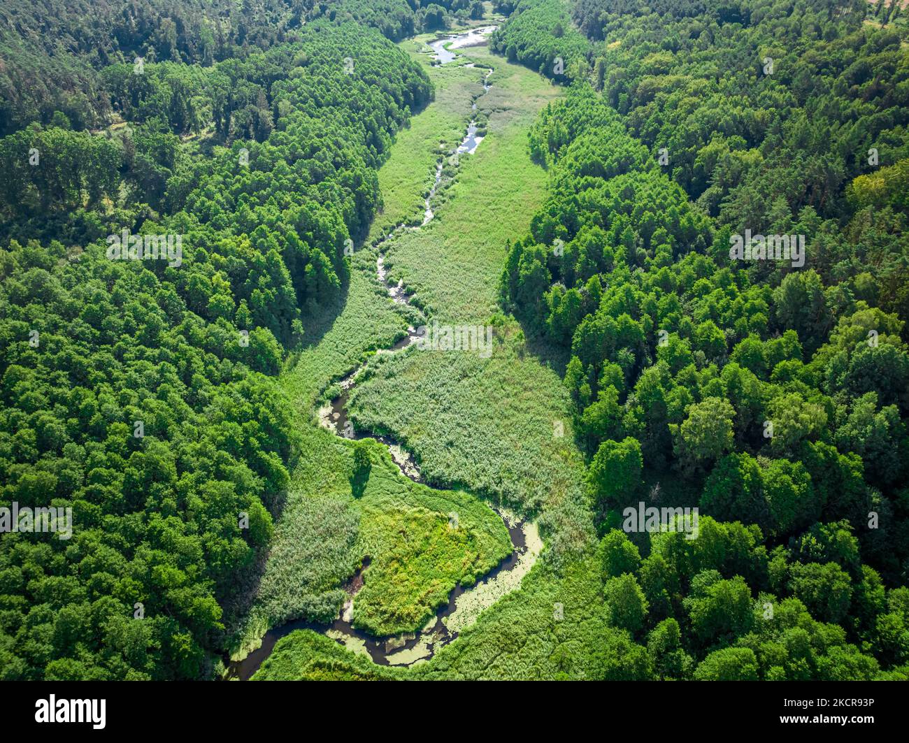 Aerial view of green forest and small river in summer, Europe Stock ...