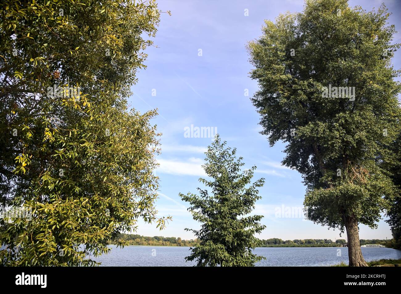 Lake at sunset framed by trees on the shore Stock Photo - Alamy