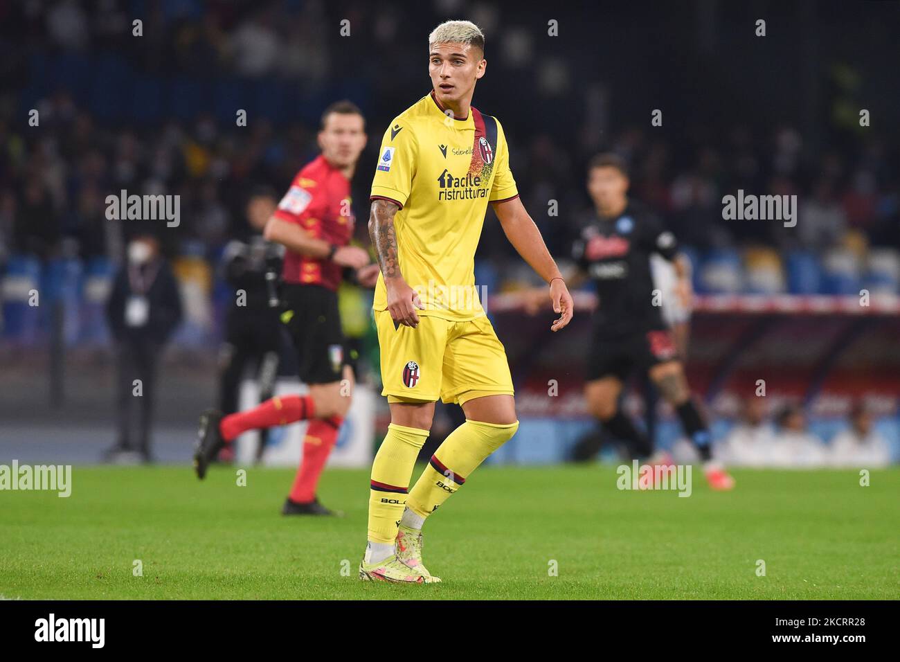 Nicolas Dominguez of Bologna FC during the Serie A match between SSC Napoli and Bologna FC at