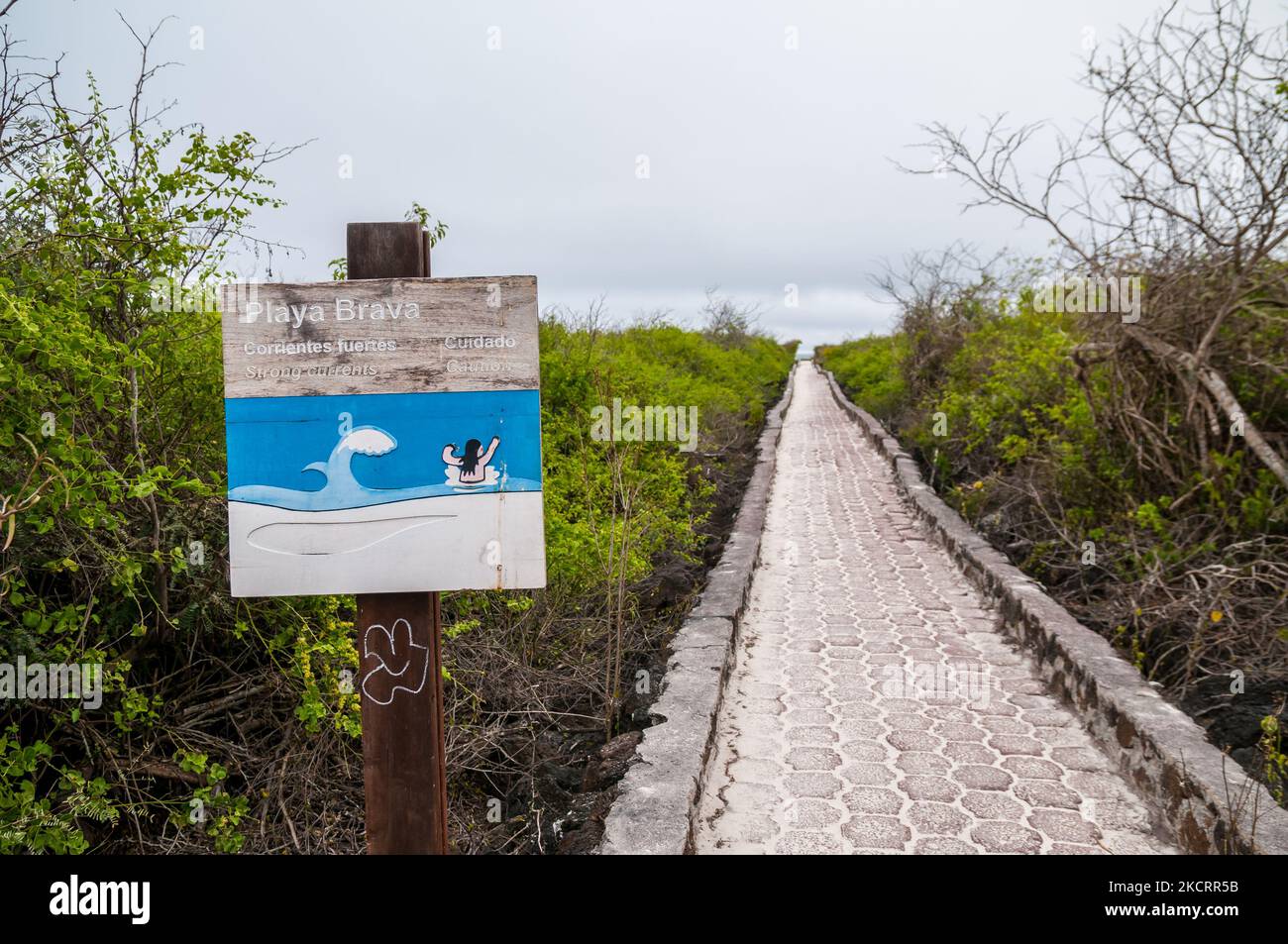 Playa Brava caution sign, Tortuga Bay, October, Santa Cruz, Galapagos Islands Stock Photo