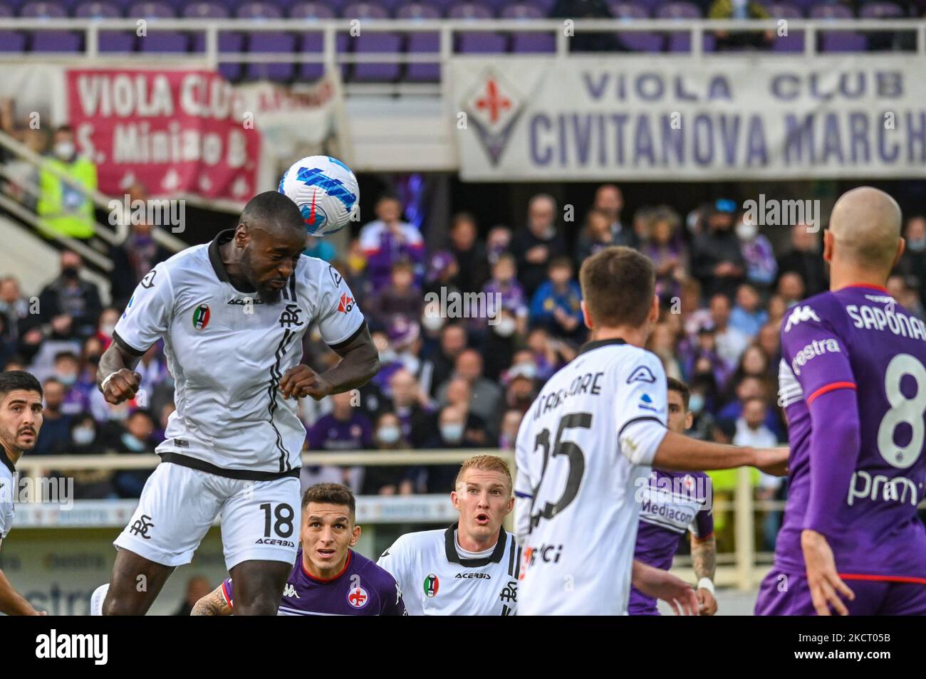 Artemio Franchi stadium, Florence, Italy, October 31, 2021, Lorenzo Venuti ( Fiorentina) and Mbala Nzola (Spezia) during ACF Fiorentina vs Spezia Cal  Stock Photo - Alamy