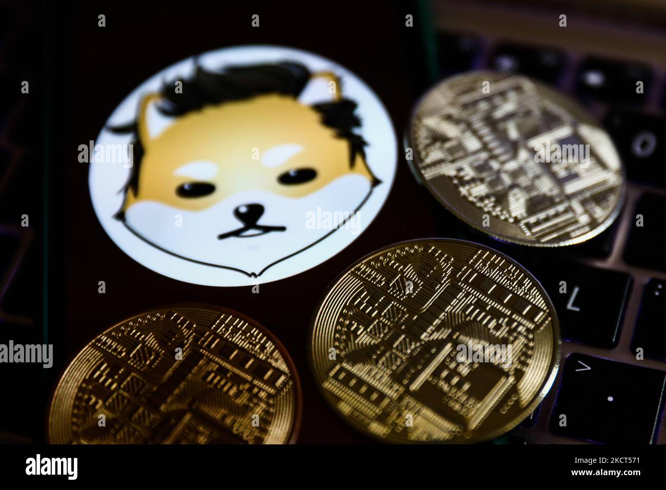 Dogelon Mars cryptocurrency logo displayed on a phone screen and  representation of cryptocurrency are seen in this illustration photo taken  in Krakow, Poland on November 2, 2021. (Photo by Jakub Porzycki/NurPhoto  Stock
