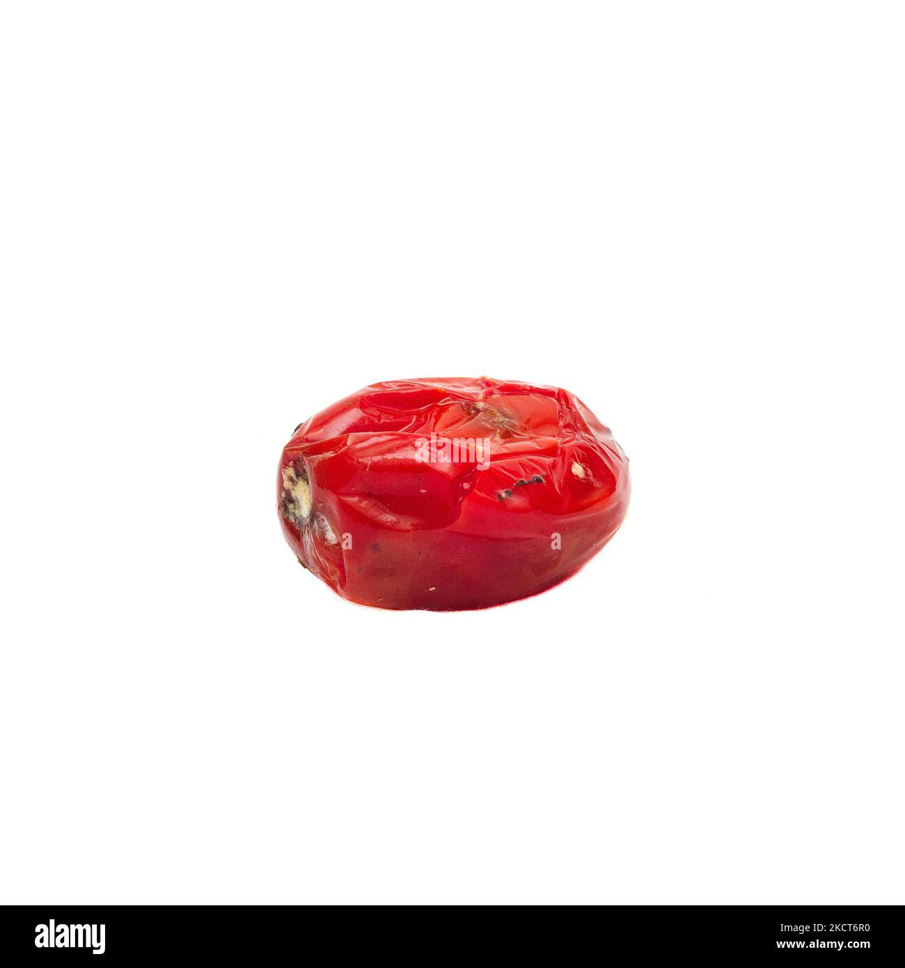 Small rotten spoiled tomato isolated on white background. Stock Photo