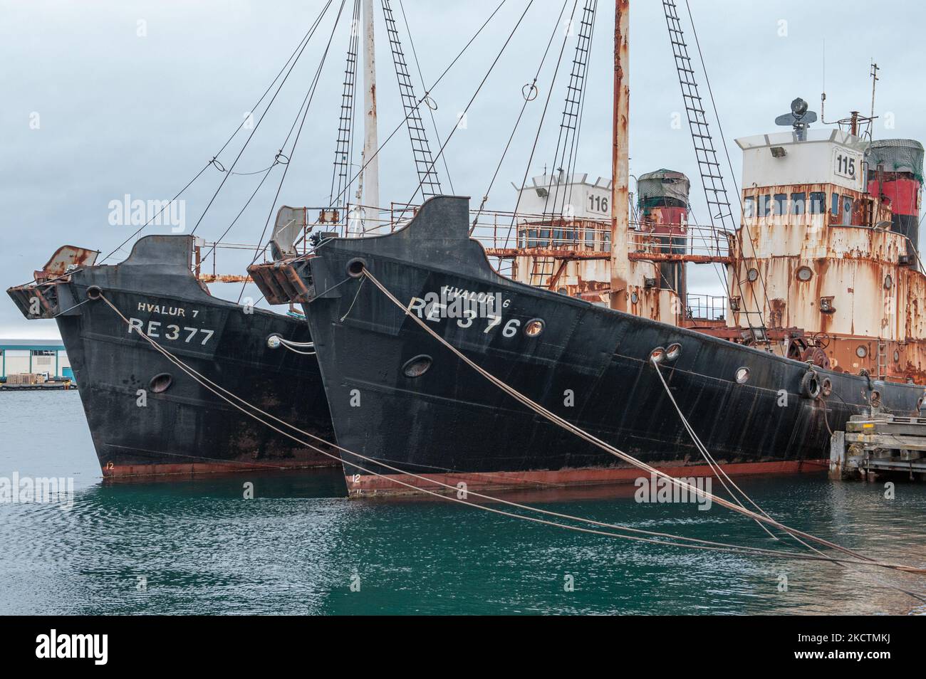 Old rusty whaling ships in the harbor of Reykjavik. Whaling began in ...