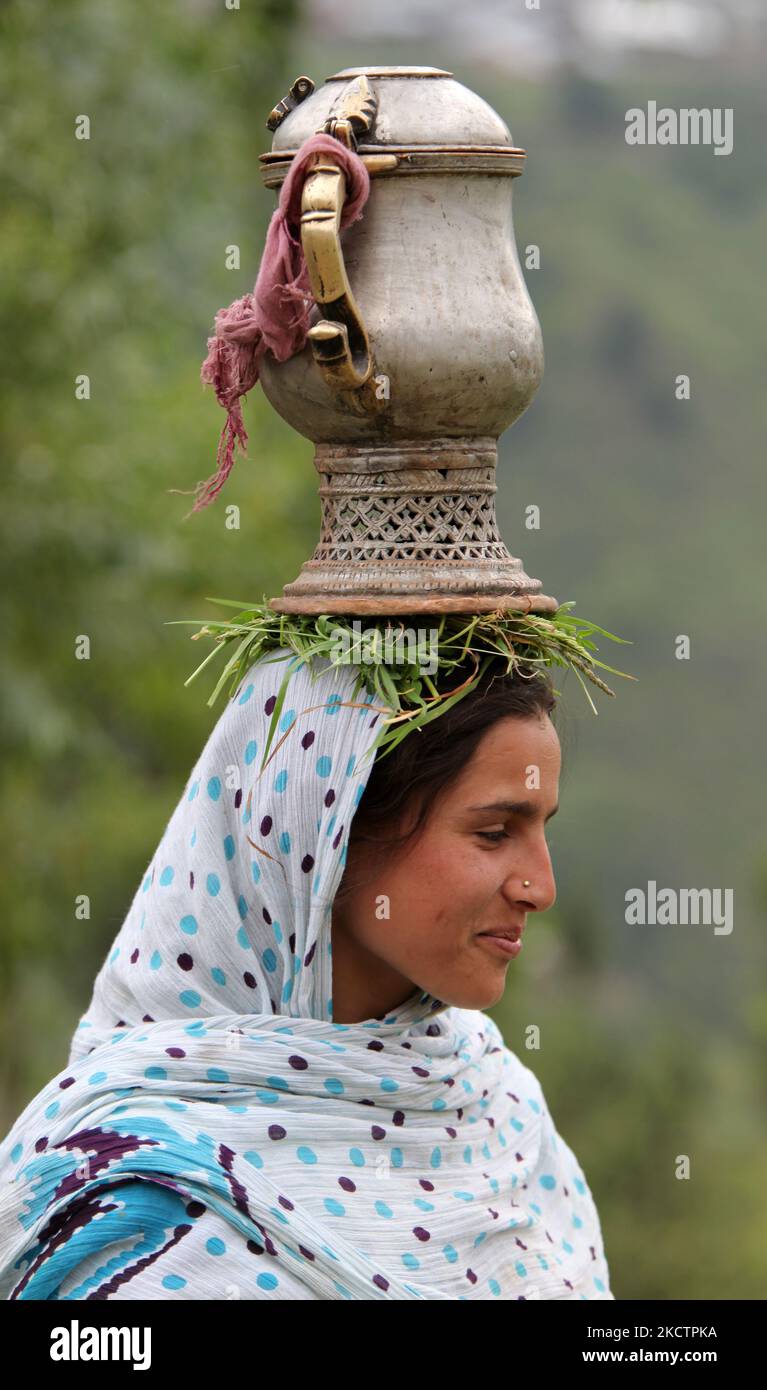 Kashmiri woman carries a samovar on her head filled with Kashmiri Tea while working in the rice fields in Kangan, Kashmir, India. (Photo by Creative Touch Imaging Ltd./NurPhoto) Stock Photo