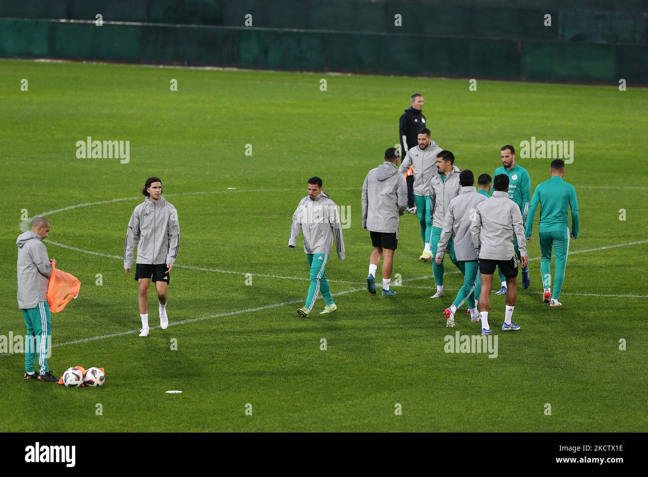 Algeria (National Teams) Football Formation