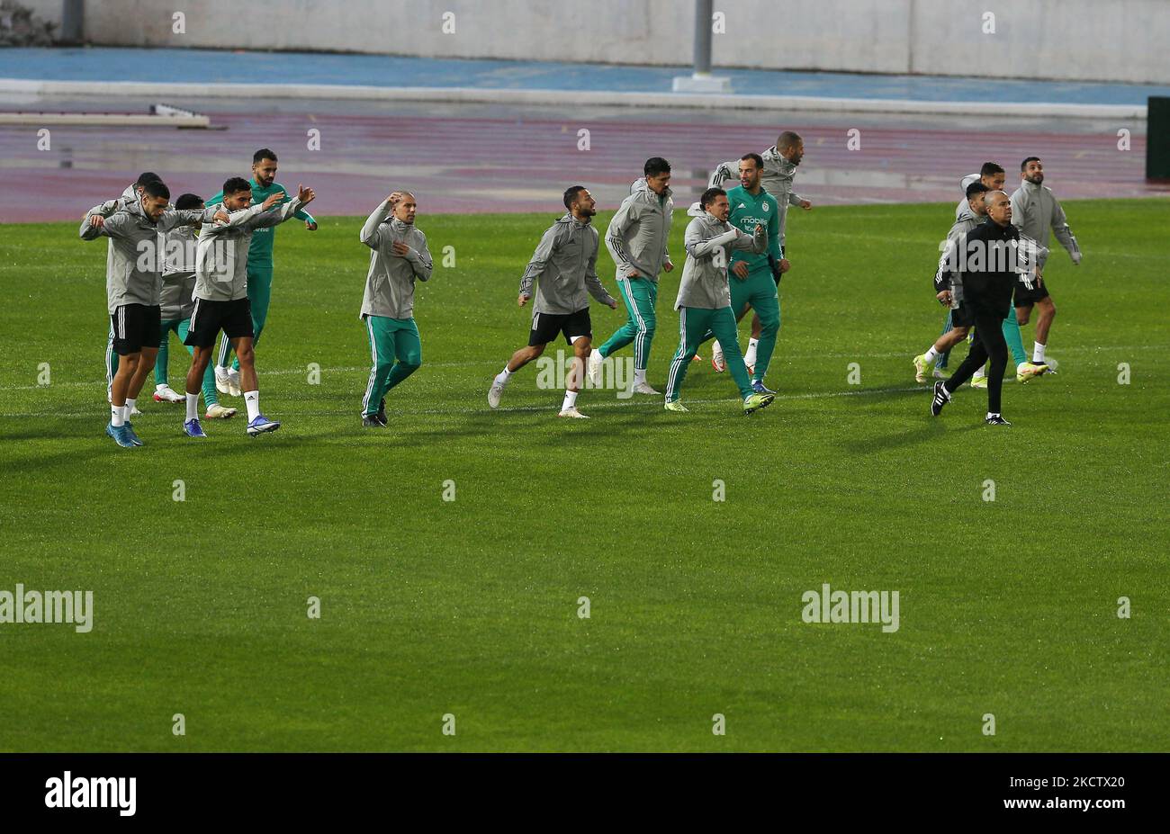 Algeria national football team training Current Squad and Coaching Dynamics