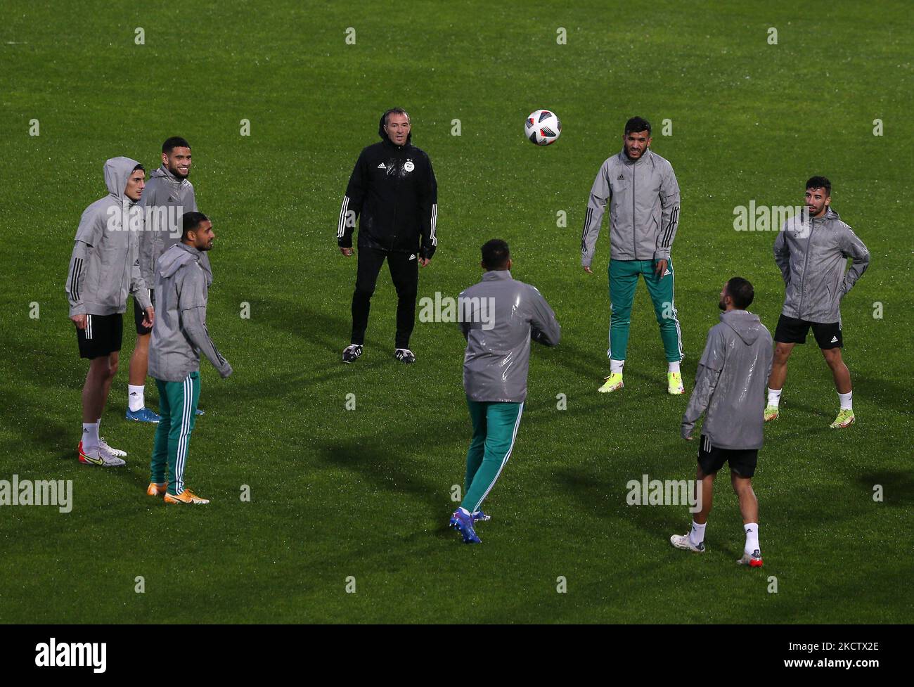 Algeria (National Teams) Football Formation