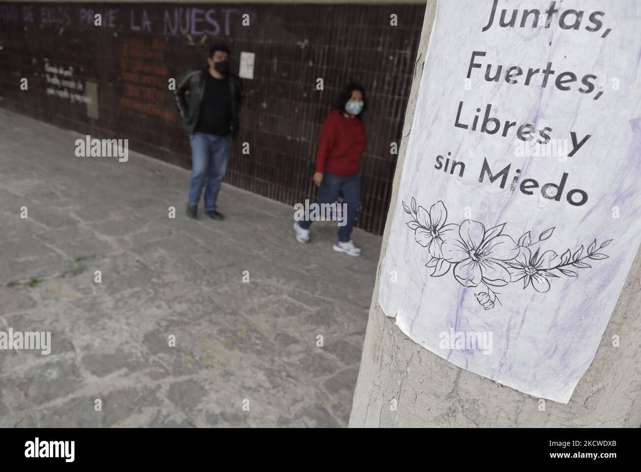 Signs against male violence on the windows of the Faculty of Architecture at the National Autonomous University of Mexico (UNAM), Mexico City. (Photo by Gerardo Vieyra/NurPhoto) Stock Photo