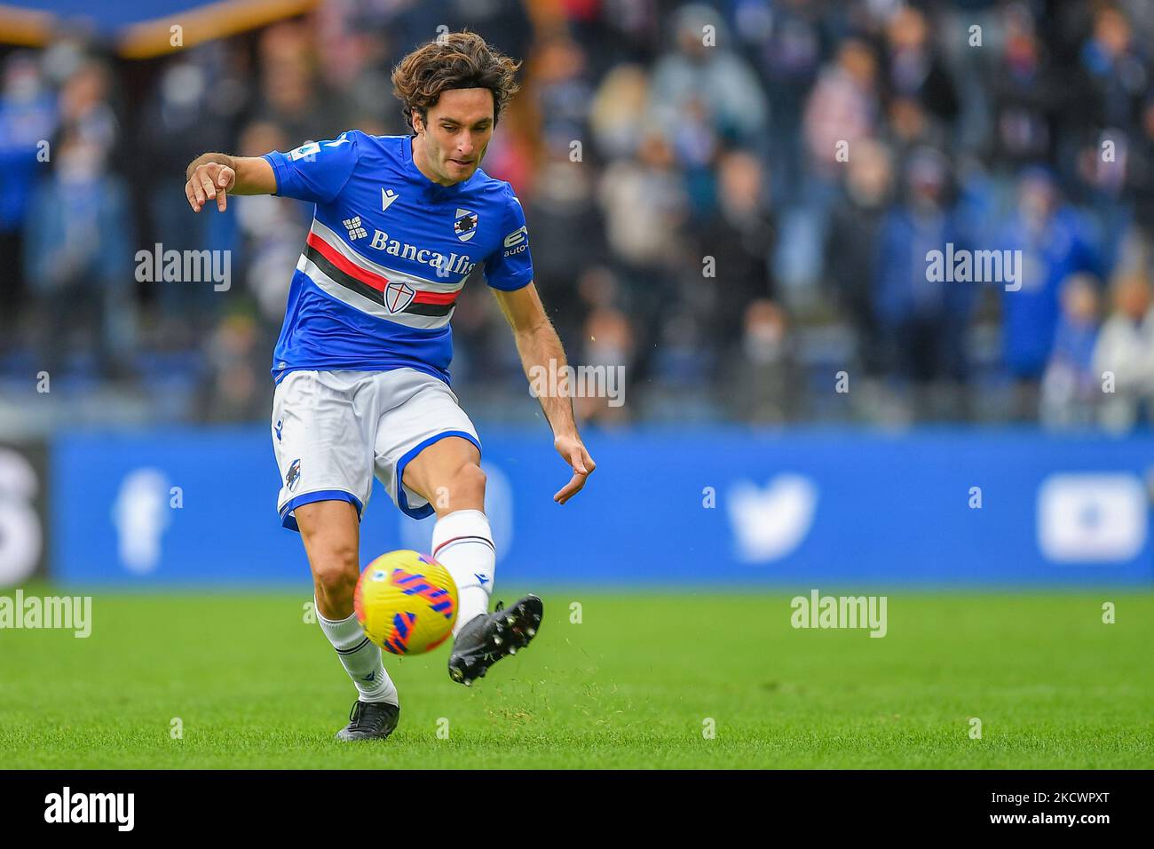 during the ANS - Autumn Nations Series Italy, rugby match between Italy and  South Africa on 19 November 2022 at Luigi Ferrarsi Stadium in Genova,  Italy. Photo Nderim Kaceli - SuperStock