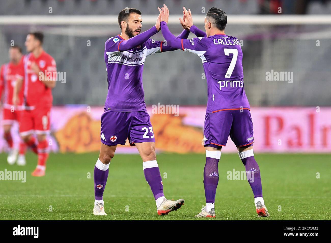 Artemio Franchi stadium, Florence, Italy, October 31, 2021, Lorenzo Venuti ( Fiorentina) and Mbala Nzola (Spezia) during ACF Fiorentina vs Spezia Cal  Stock Photo - Alamy