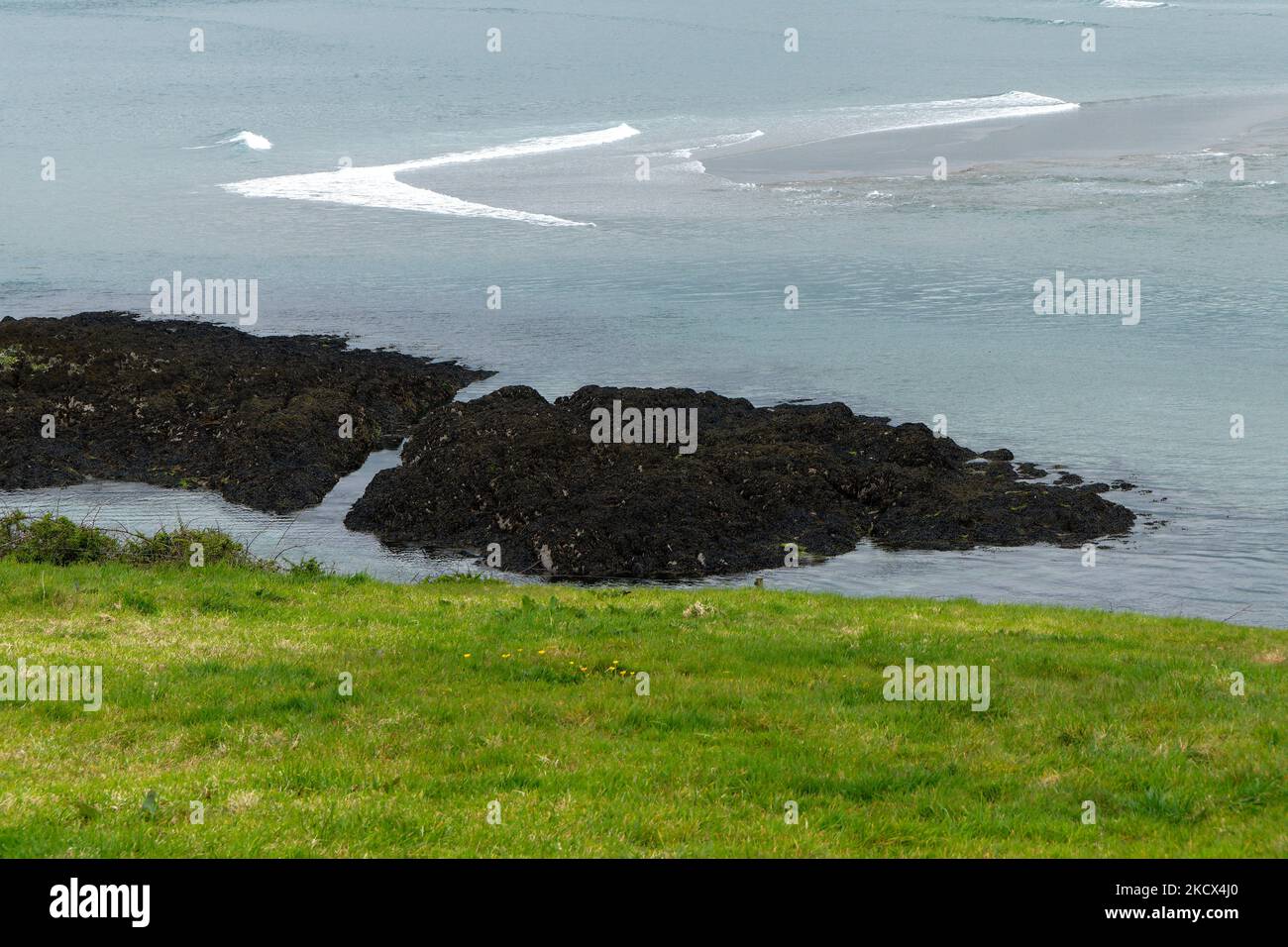 Rocks on the seashore. Green spring grass. White foam on the sea waves