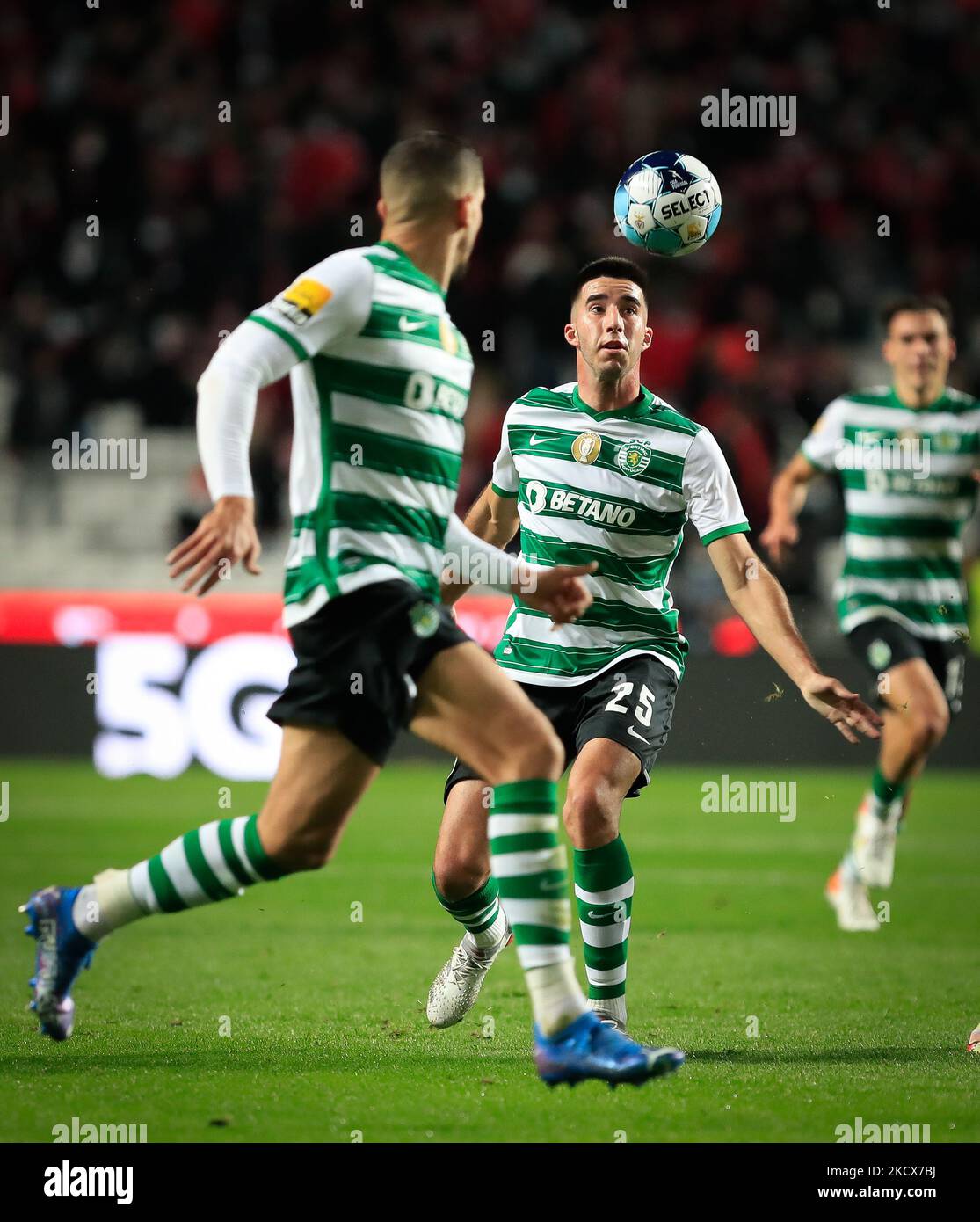 Goncalo Inacio of Sporting CP during the Liga Bwin match between SL Benfica and Sporting CP at Estadio da Luz on December 3, 2021 in Lisbon, Portugal. (Photo by Paulo Nascimento/NurPhoto) Stock Photo